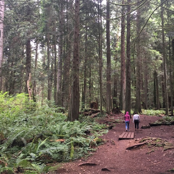 Meet your Posher, Kat - Picture 5 of 9